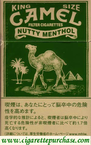 Camel Nutty Menthol cigarettes hard box